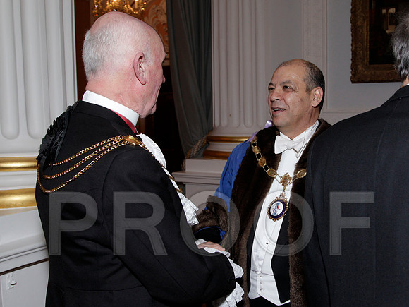 129G_233 copy