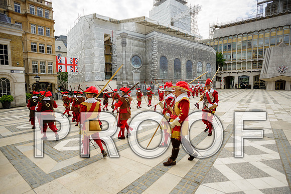 Jubilee Pikemen 03-06-22 046