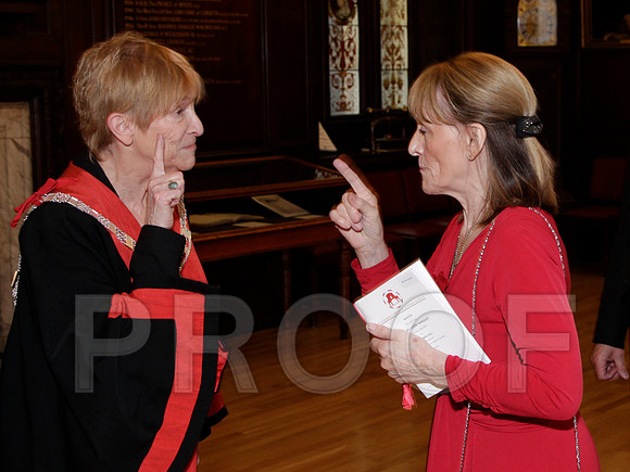 141G_081 copy