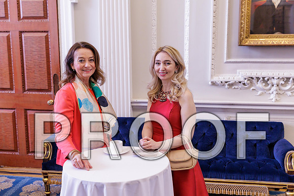 Diplomatic Spouses Reception 07-10-25 0151