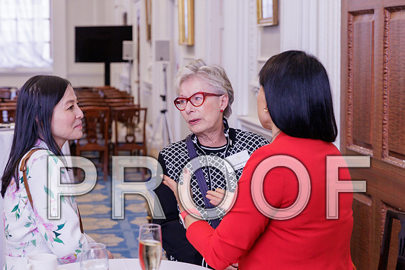 Diplomatic Spouses Reception 07-10-25 0206