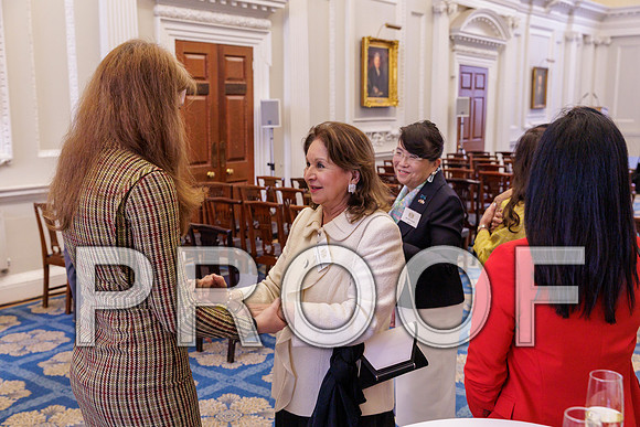 Diplomatic Spouses Reception 07-10-25 0230
