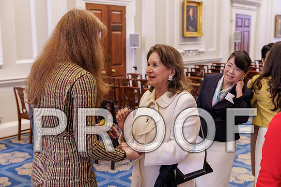 Diplomatic Spouses Reception 07-10-25 0231