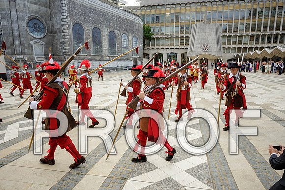 Jubilee Pikemen 03-06-22 029