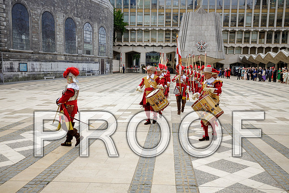 Jubilee Pikemen 03-06-22 011