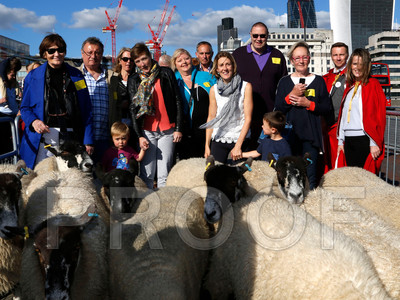 010K_1926 copy
