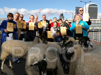 010K_1953 copy