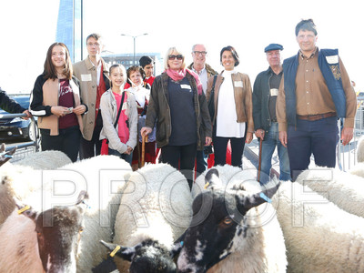 010K_2075 copy
