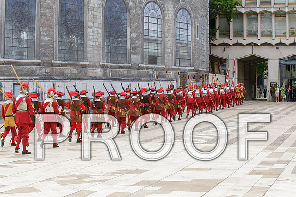 Jubilee Pikemen 03-06-22 009