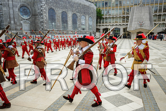 Jubilee Pikemen 03-06-22 041