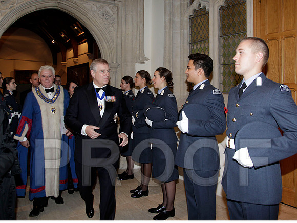 066G_401 copy