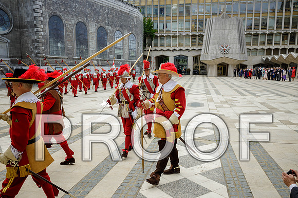 Jubilee Pikemen 03-06-22 045