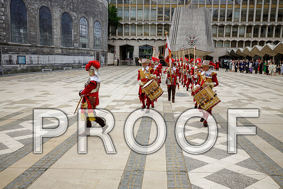 Jubilee Pikemen 03-06-22 010