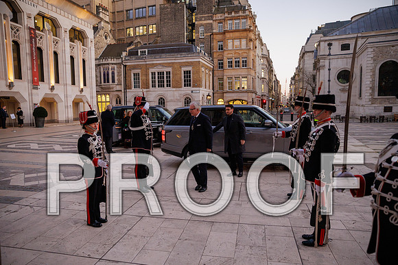Pikemen 100th 18-03-25 020