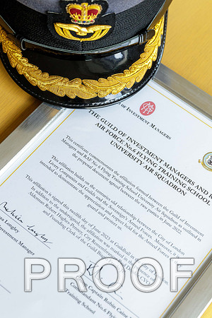 GIM Military Affiliate 12-06-23 185