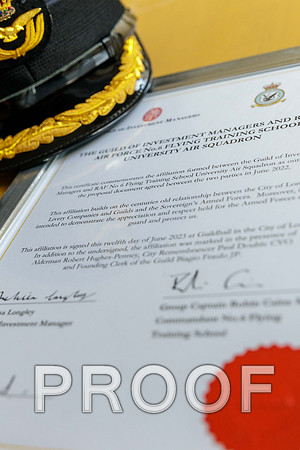 GIM Military Affiliate 12-06-23 182