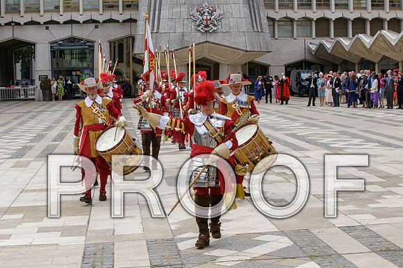Jubilee Pikemen 03-06-22 007