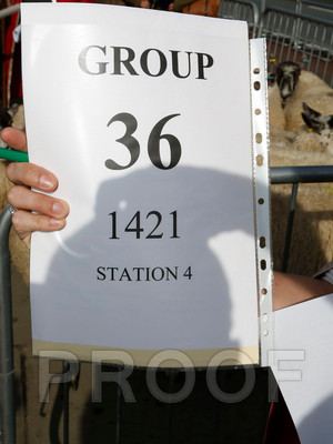 012H__1158 copy