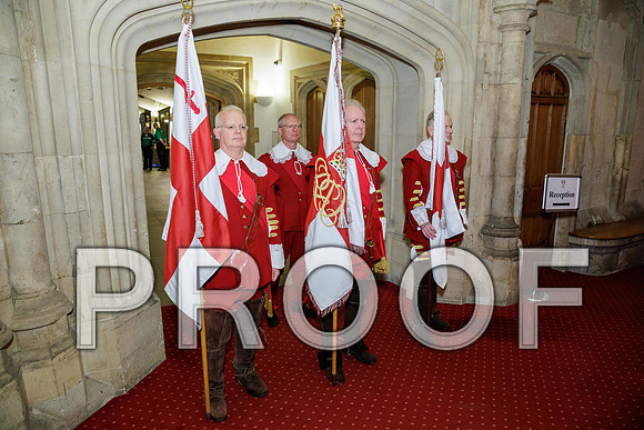 Pikemen 100th 18-03-25 041