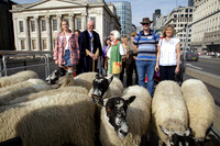 N112-1583