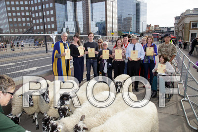 N112-1743