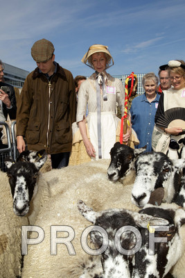 N112-1338