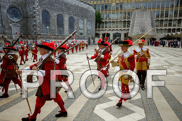 Jubilee Pikemen 03-06-22 042