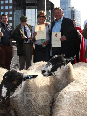 012H__1302 copy