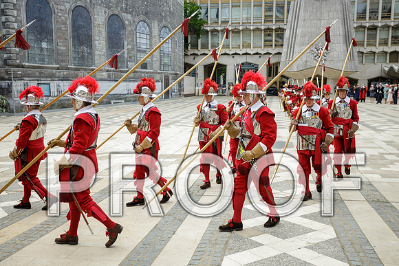 Jubilee Pikemen 03-06-22 021