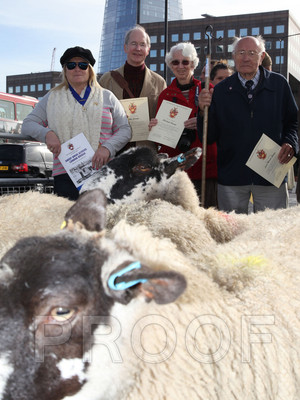 012H__1329 copy