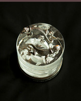 Salamander Trophy