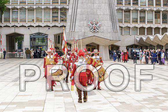 Jubilee Pikemen 03-06-22 002