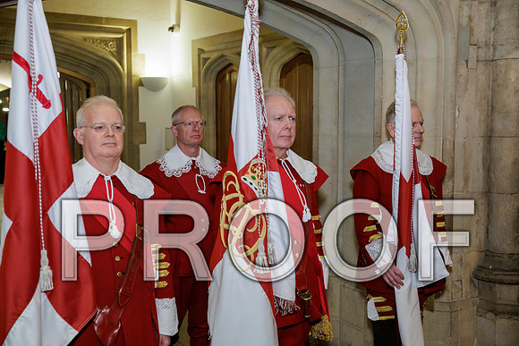 Pikemen 100th 18-03-25 042