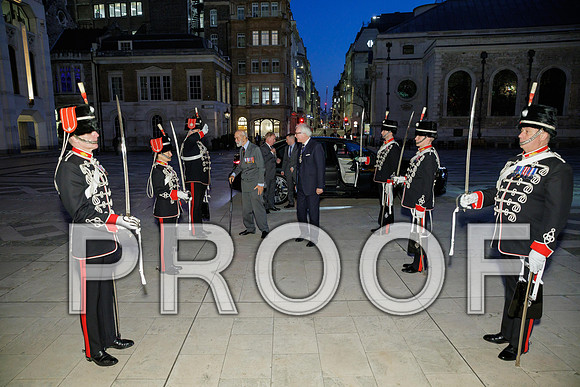 Pikemen 100th 18-03-25 048