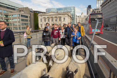 P105-Group10-003