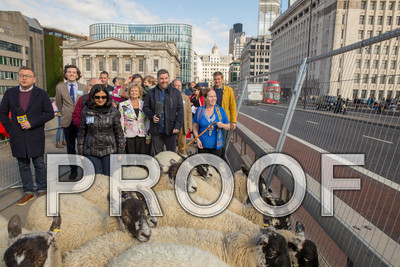 P105-Group10-006