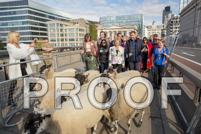 P105-Group10-011