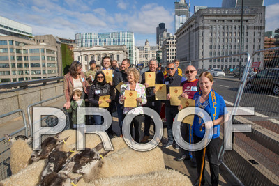 P105-Group10-023