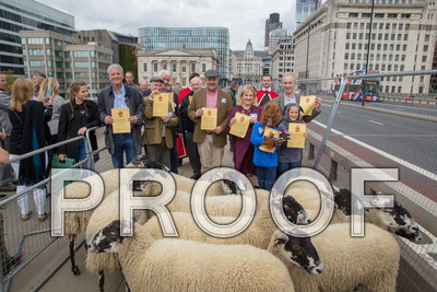 P105-Group26-041