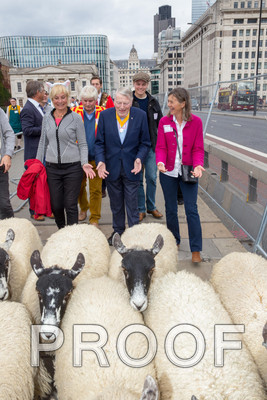 P105-Group27-021