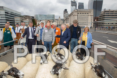 P105-Group27-025