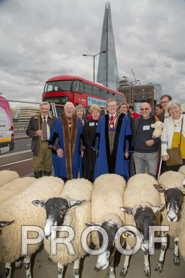 P105-Group40-016