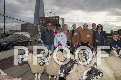 P105-Group55-012