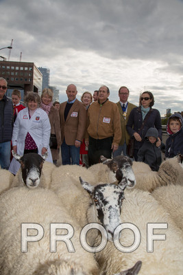 P105-Group55-015
