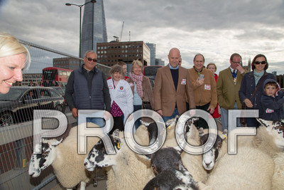 P105-Group55-022