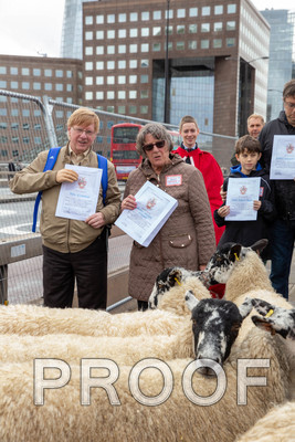 Q085-G6-032