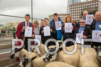 Q085-G14-038