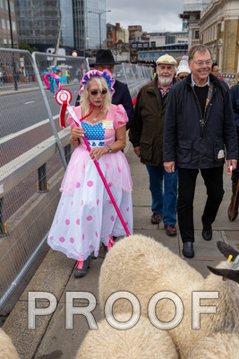 Q085-G21-013