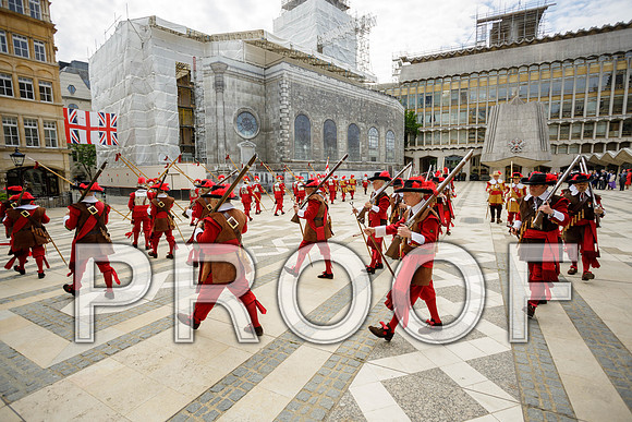 Jubilee Pikemen 03-06-22 037