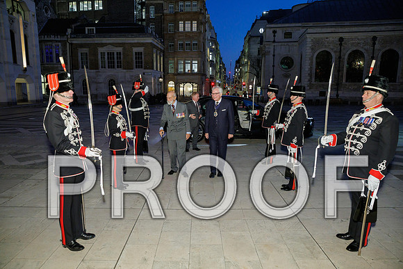Pikemen 100th 18-03-25 049
